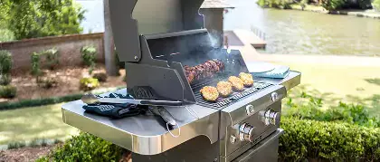 The Best Propane Grills